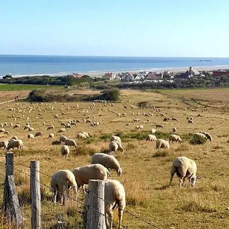 Au Kaycedra